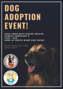 Ruff House Rescue Dog Adoption Event @ South Bark Dog Wash