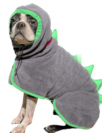 TerrierSaurus