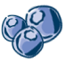 blueberrys-1 blueberrys-1