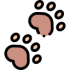 footprints